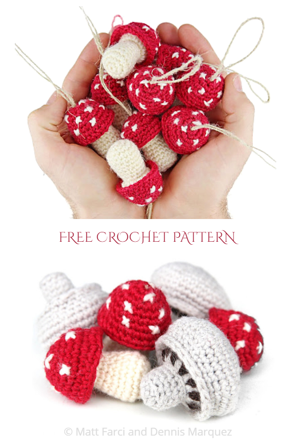 Crochet Toadstools & Mushroom Amigurumi Free Patterns 