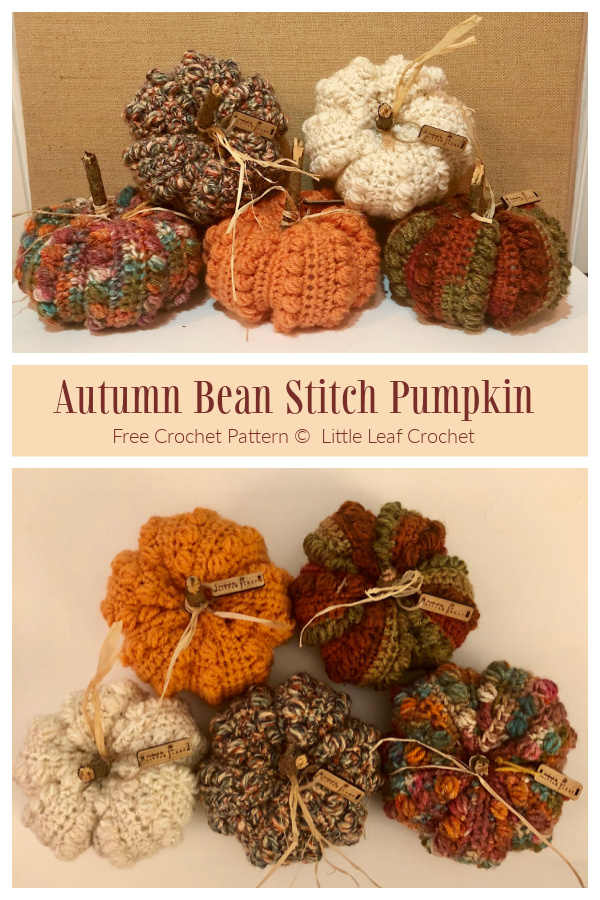 Autumn Bean Stitch Pumpkin Free Crochet Patterns 