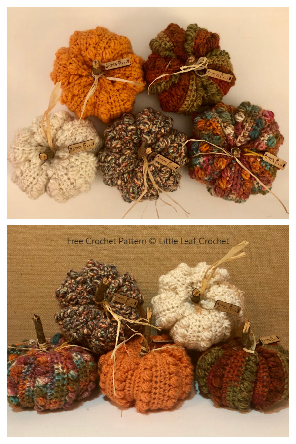 Autumn Bean Stitch Pumpkin Free Crochet Patterns 