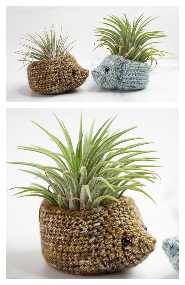 Fun Hedgehog Planter Crochet Pattern