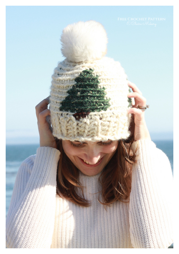 Pinewood Beanie  Crochet Pattern Free